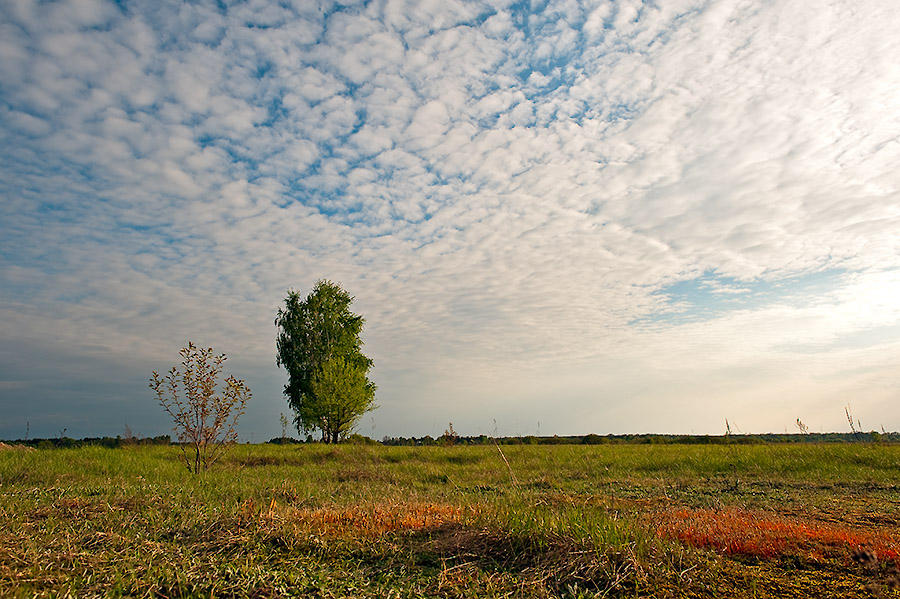The Clouds Come And Go