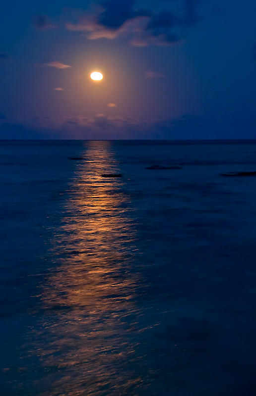 Moonlight Sonata