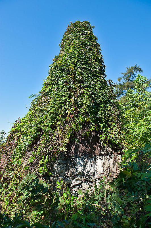 Cemetery Obelisk