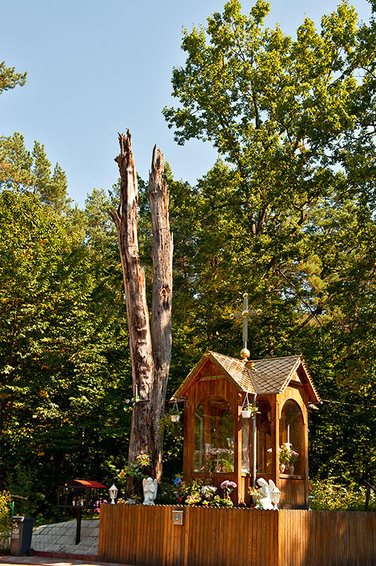 Chapel In The Woods