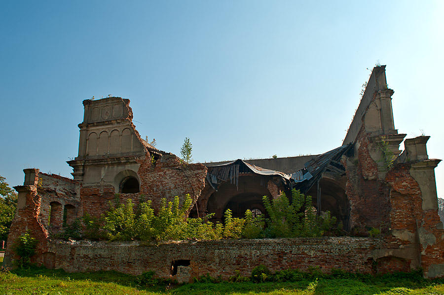 Synagogue In Brody