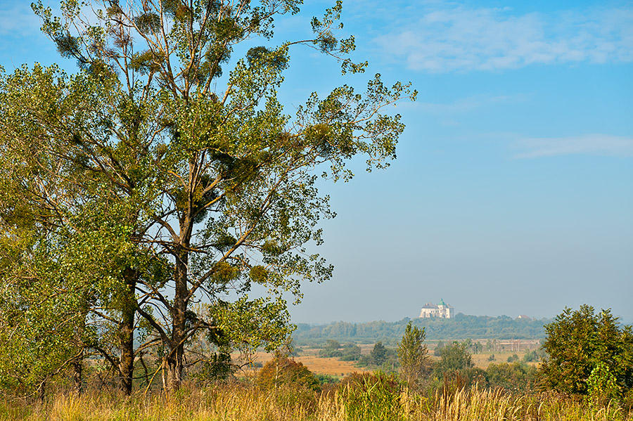 Olesko Castle In Distance