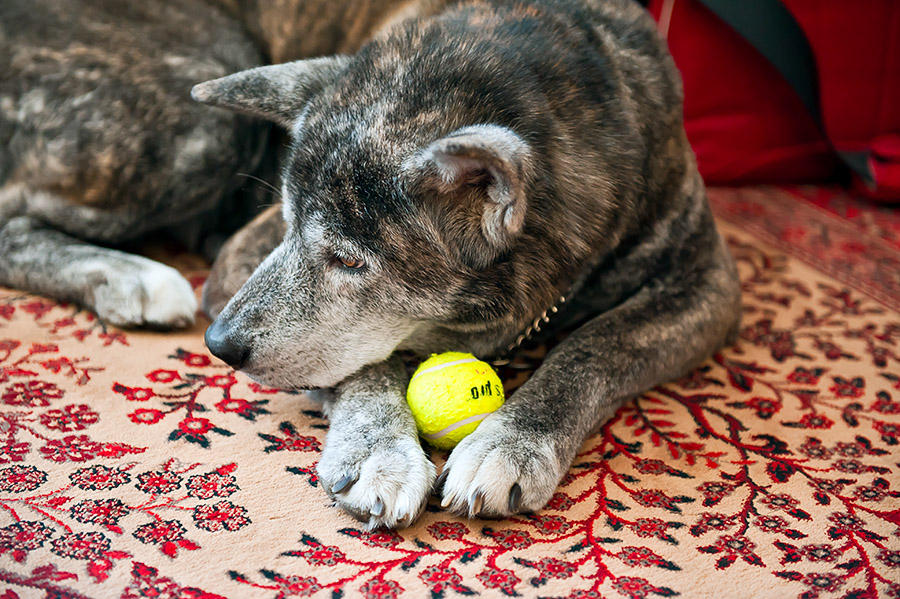 Not In Mood To Play