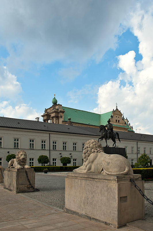 Two Lions And A Horse