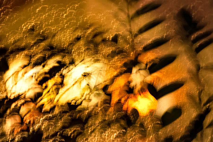 Dancing Lights