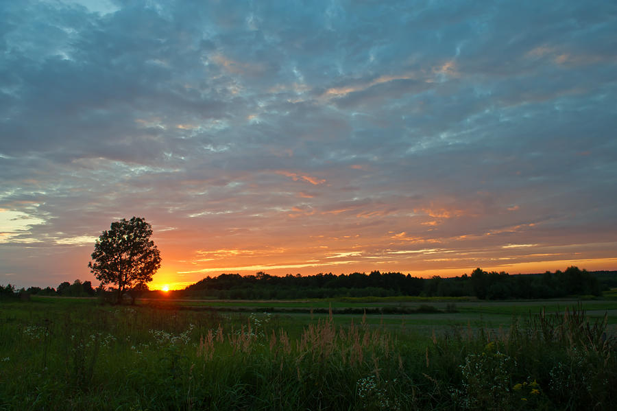 Sunset At The Fields