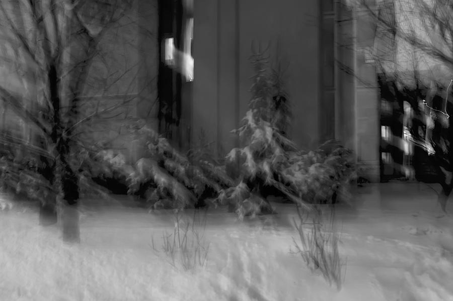 Winter Ghosts In A Dance