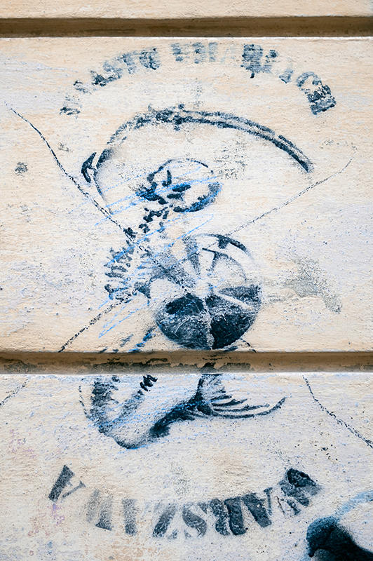 The Skeleton Mermaid