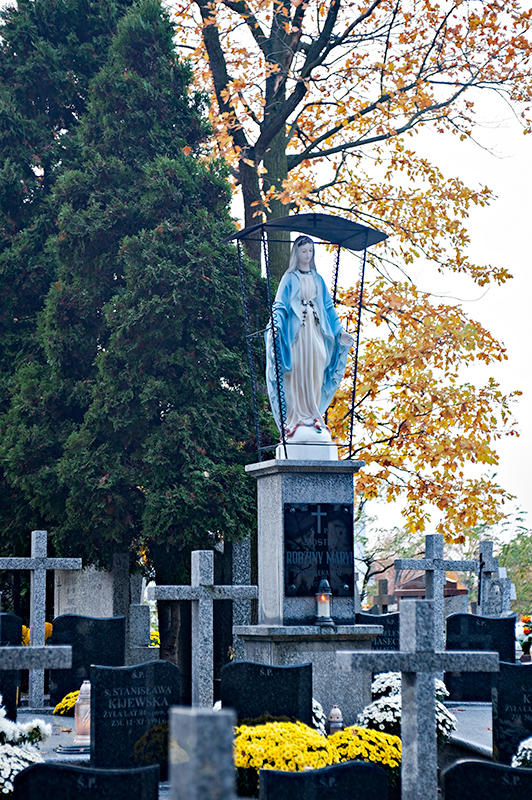 Tarchomin Cemetery