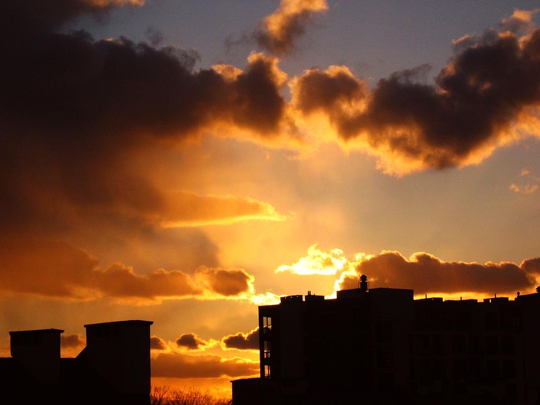 From Our Windows 2