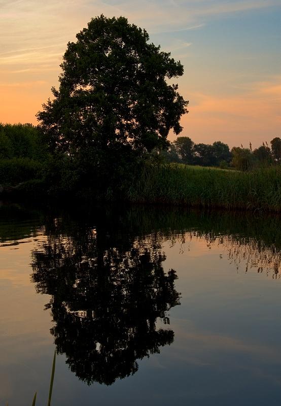 Summer Reflection