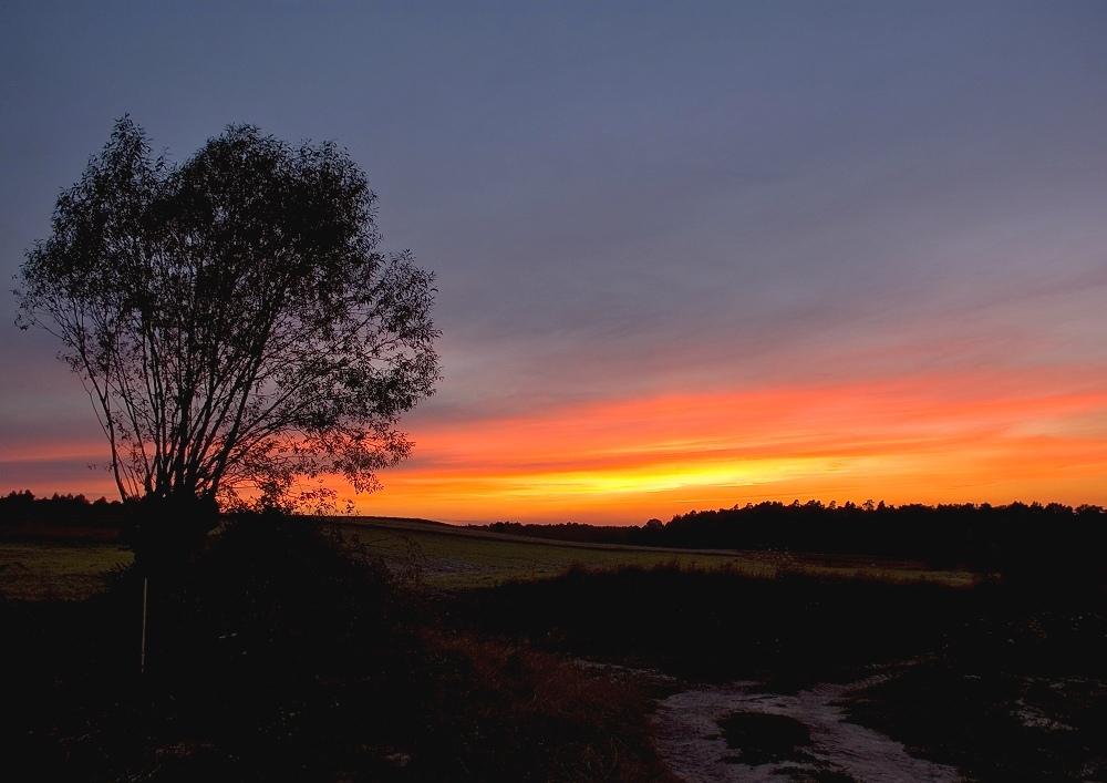 Serene Sunset