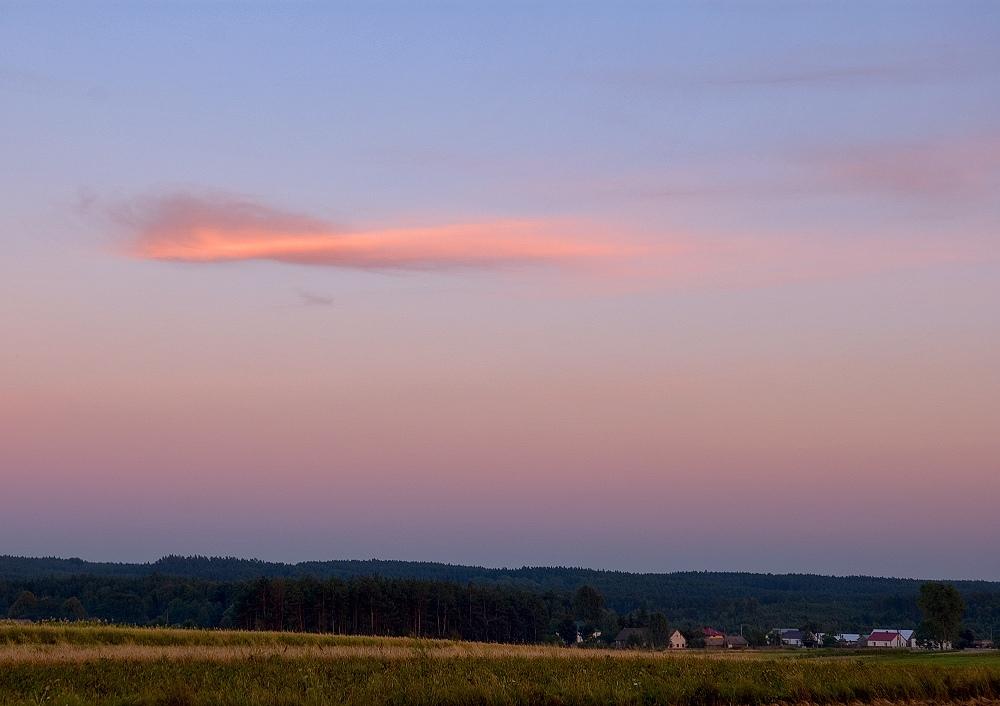 Pink Cloudlet