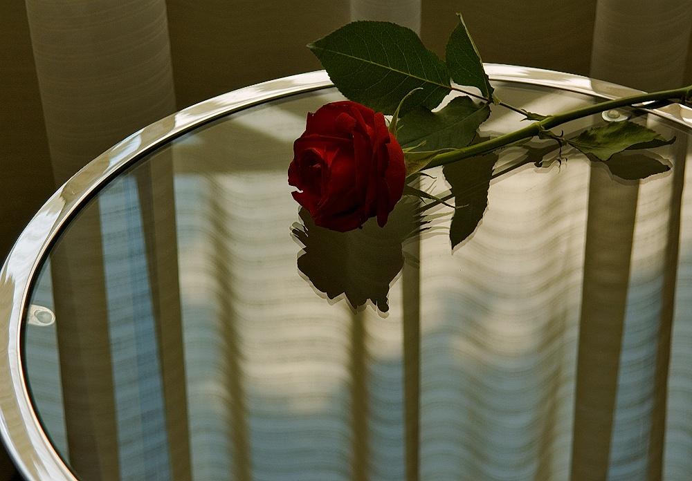 Purple Rose For Me