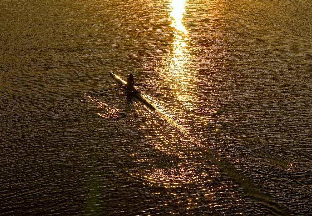 Rowing In Sunshine Reflection