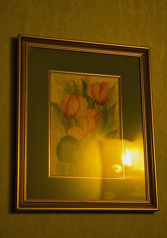 Light On Cyclamens