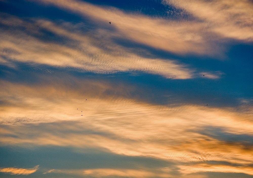Autumn Sunset Sky