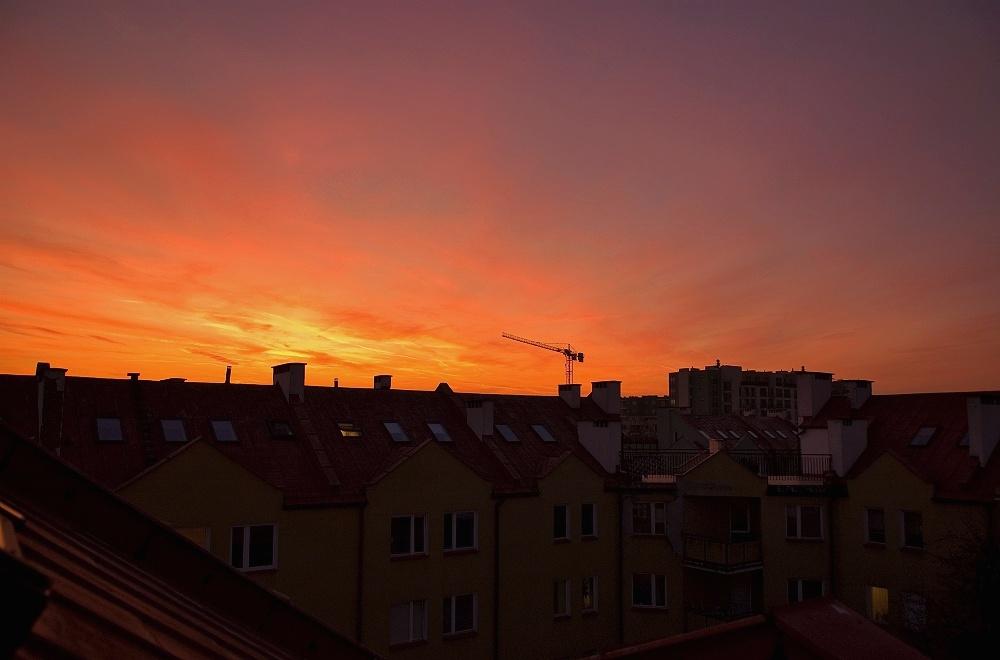 Over The Roofs