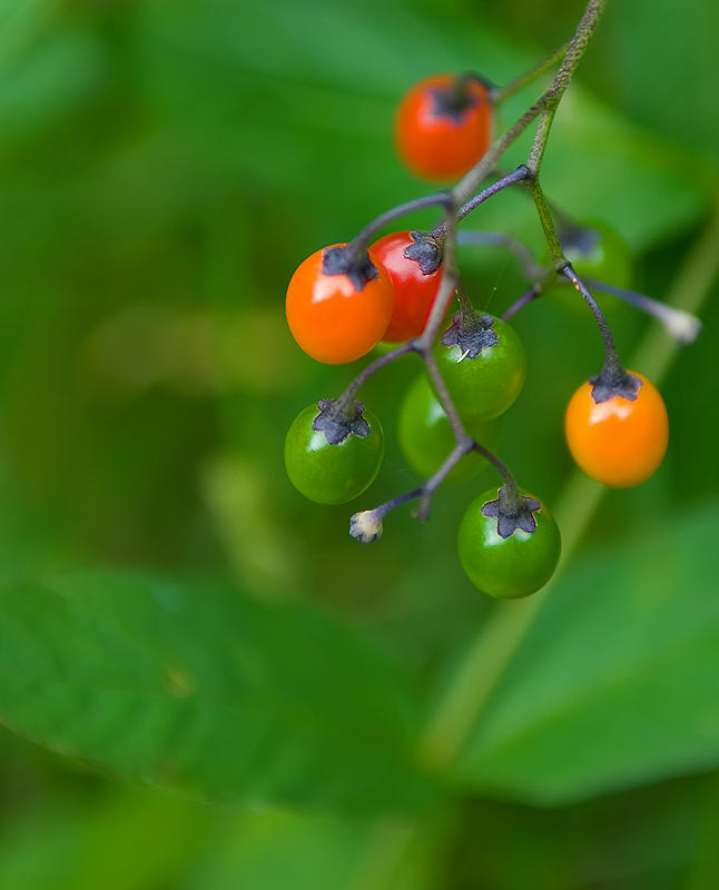 Touch of Colour