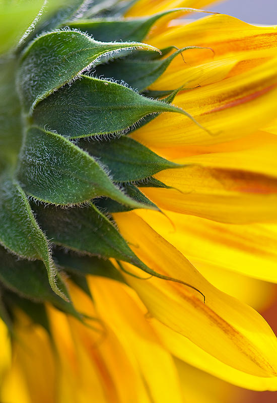 Colors Of September