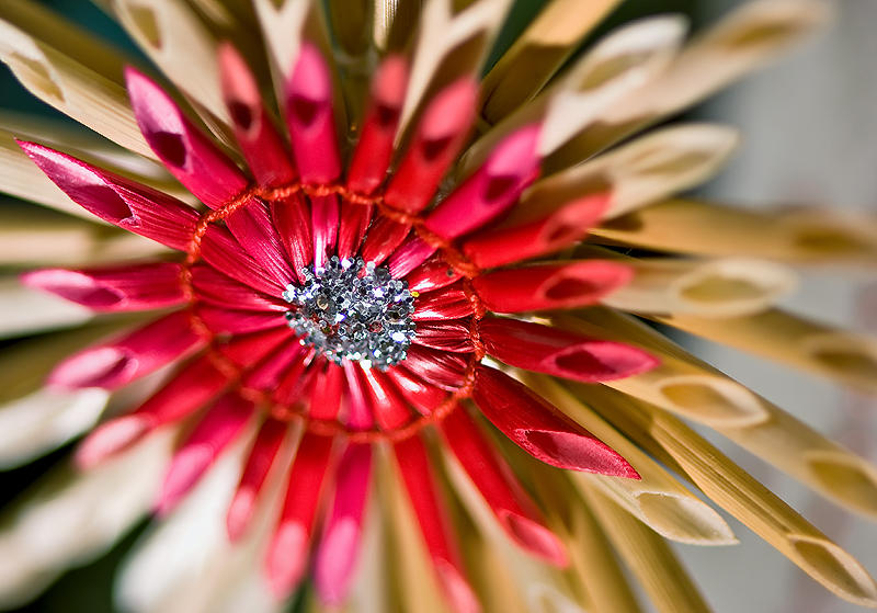 Straw Flower
