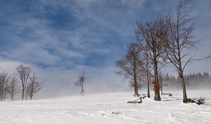 Blizzard