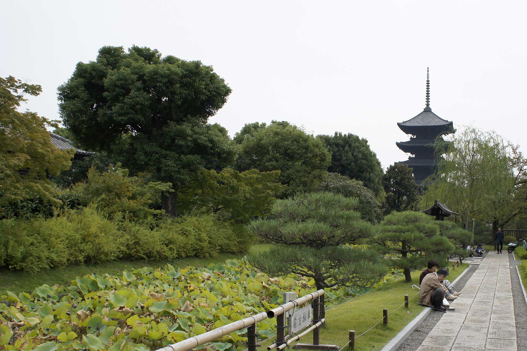 Tō-ji @f7.1 NEX5