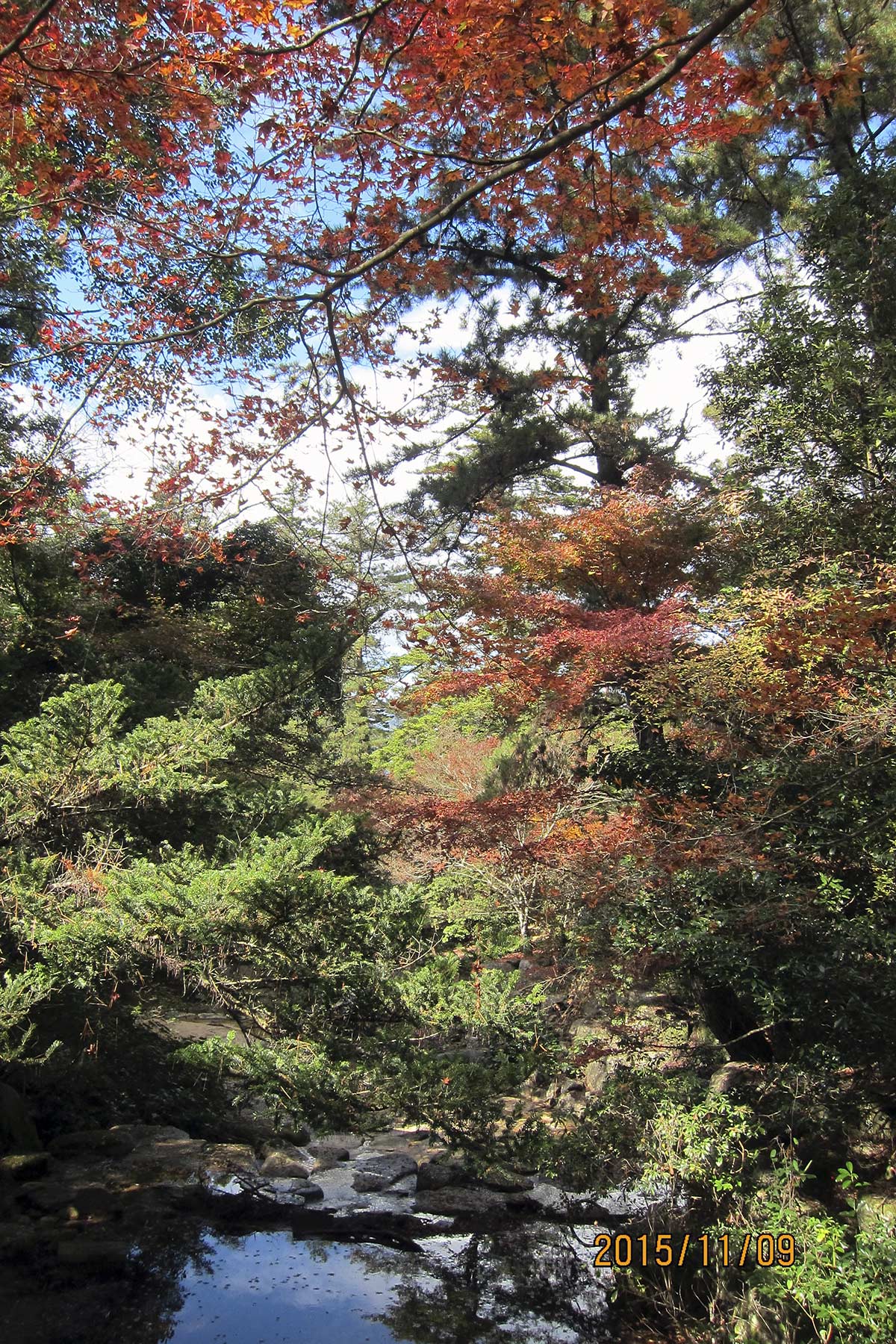 Fall in Miyajima