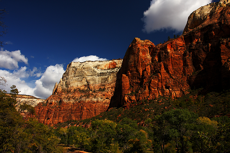 Beautiful Zion Canyon