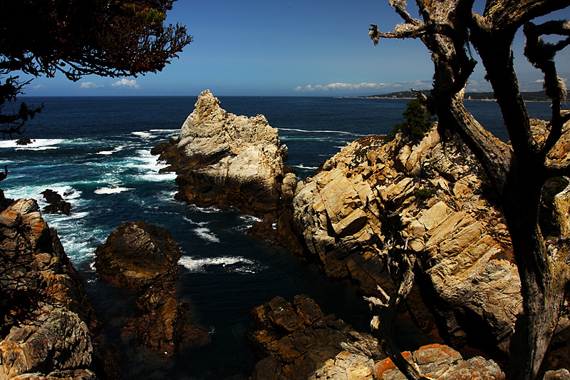 Point Lobos Blue