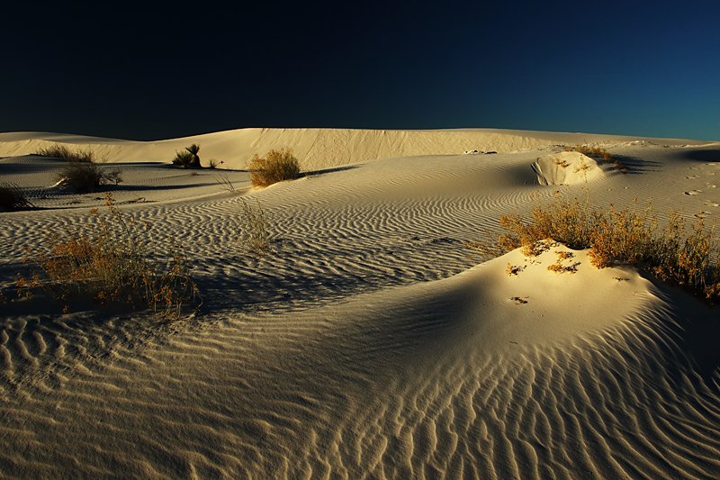 Morning's Warmth on the White Sands
