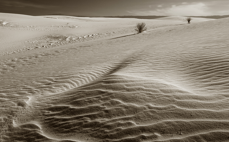 Lines in the Sand