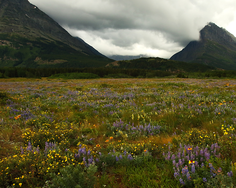 Northern Rockies Spring