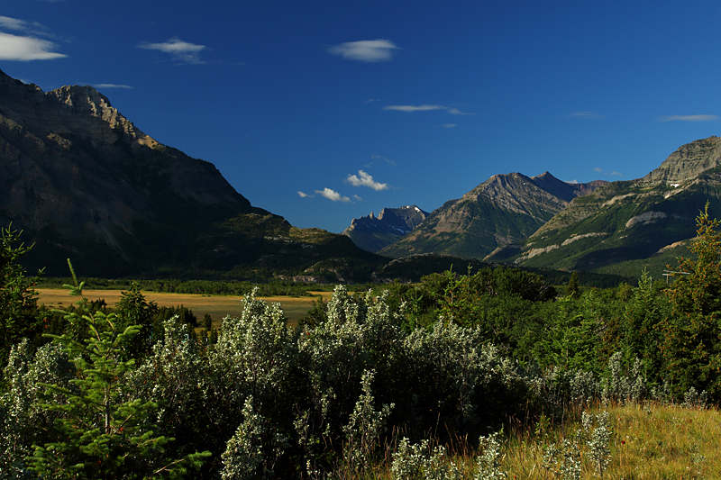 Northern Rockies