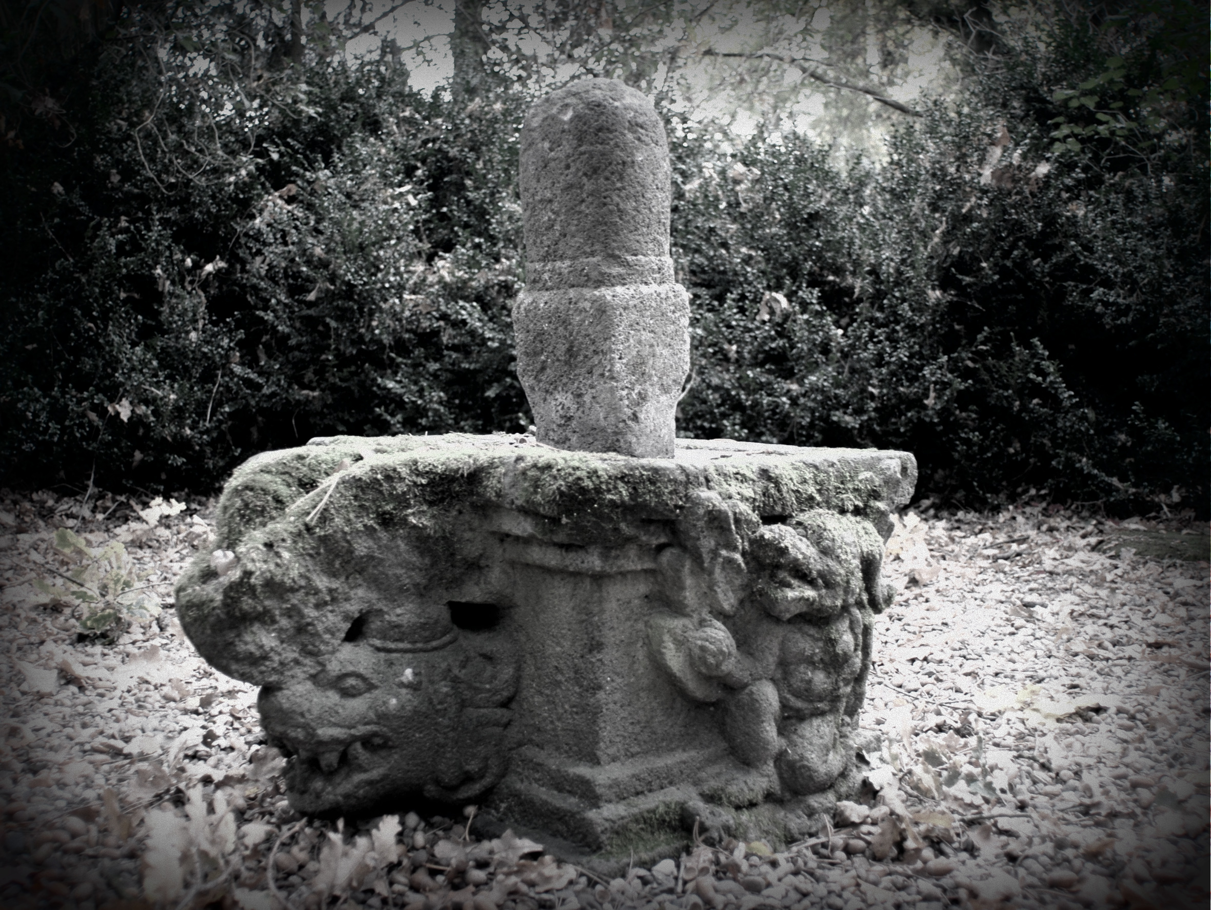 Shiva Lingam BW
