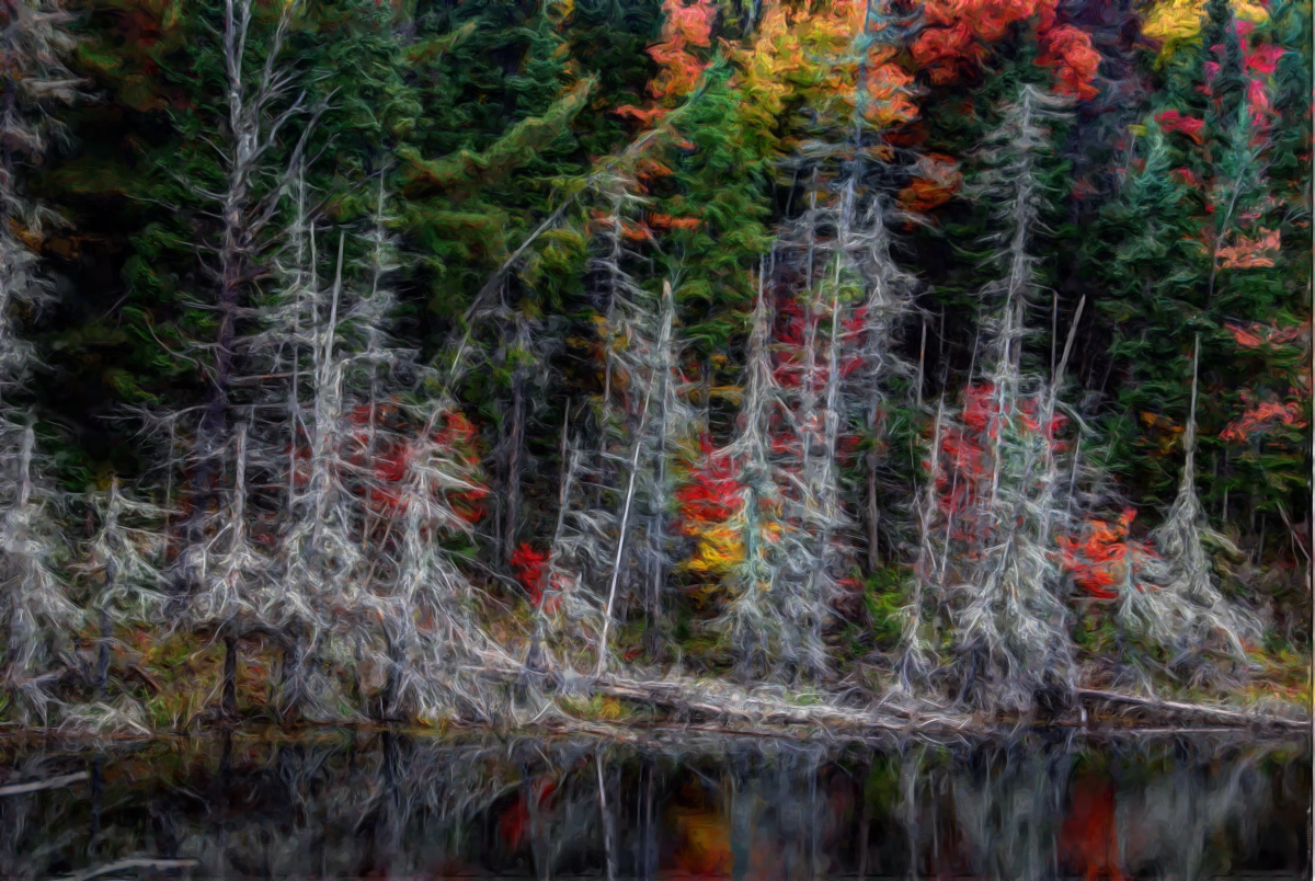 DSC_9044HDR_Painting1.JPG