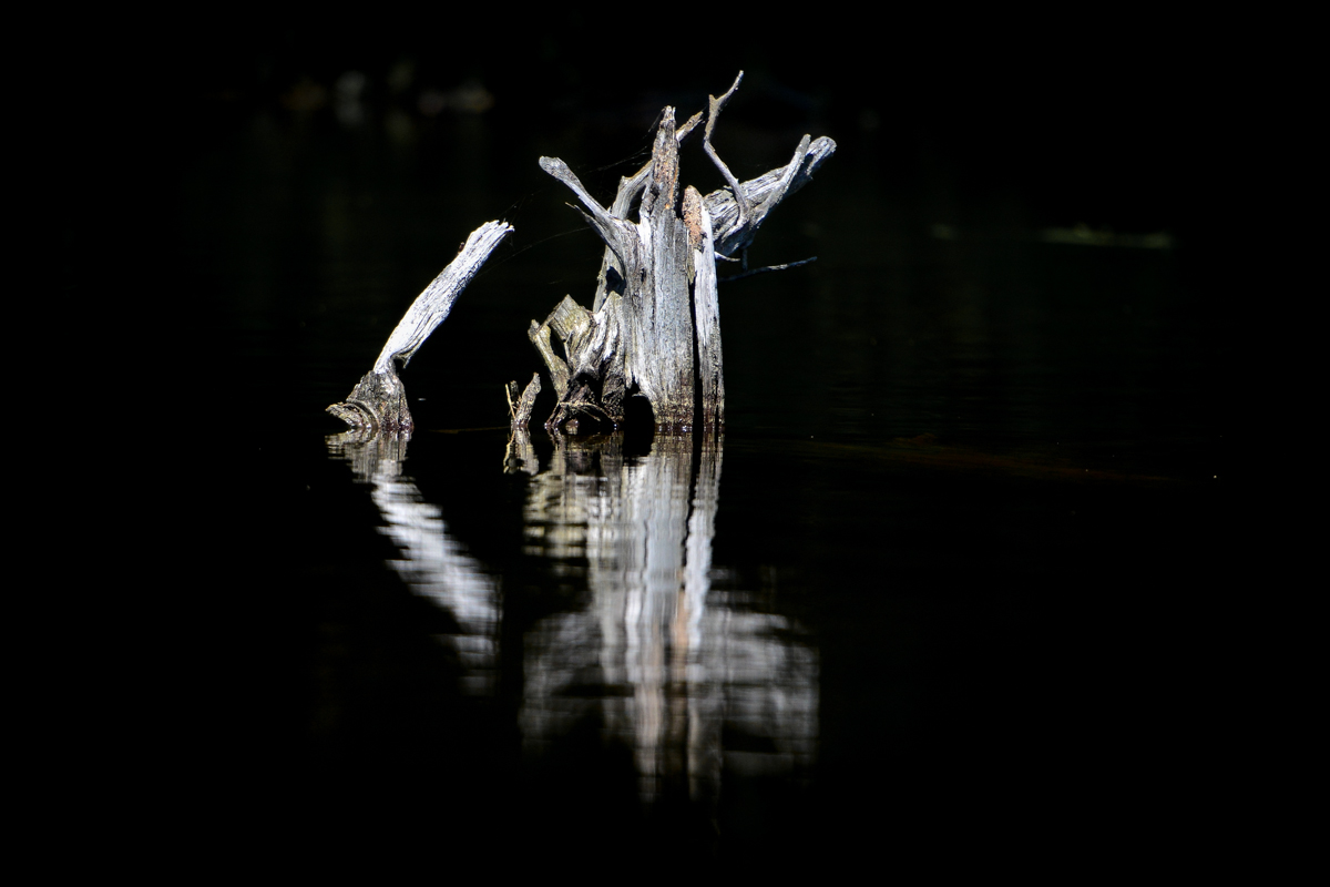 ALQ June 2014 57.jpg