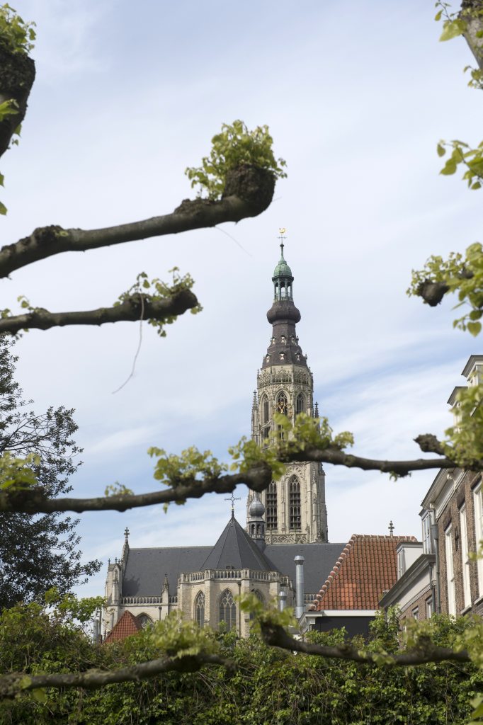 Breda, prot gem Grote of Onze Lieve Vrouwekerk 111 [011], 2014.jpg