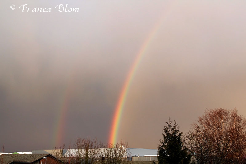 Dubbele regenboog