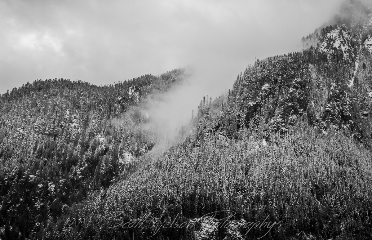 Mist Thru the Valley