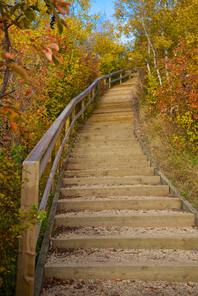 River Valley Stairs