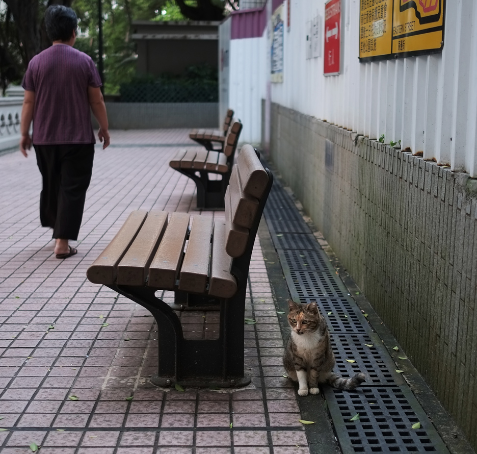 have a seat