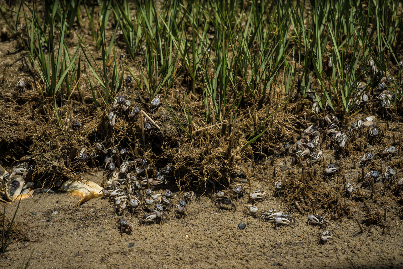 20140608-_DSC3093.jpg