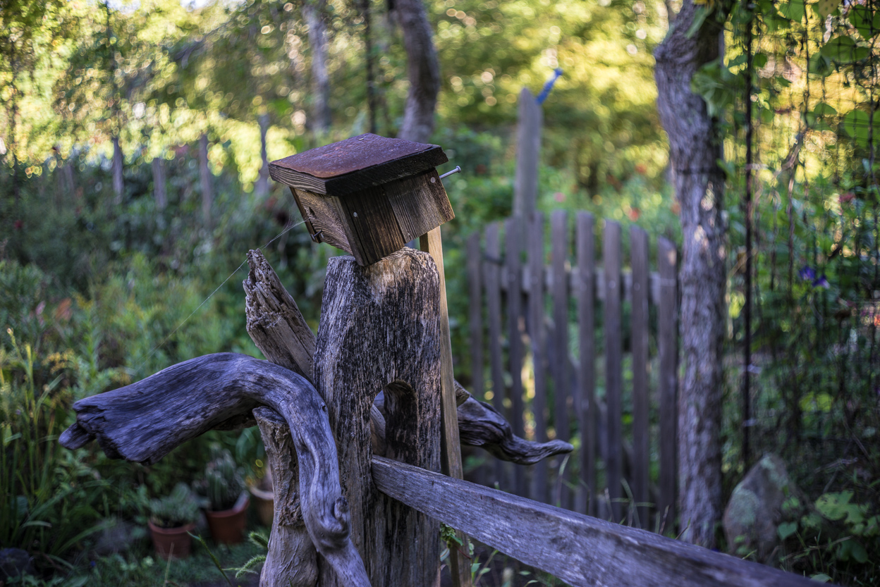 20141005-_DSC3793.jpg