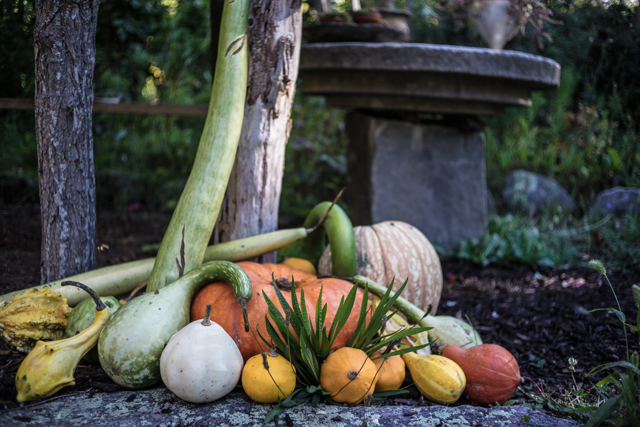 20141005-_DSC3796.jpg