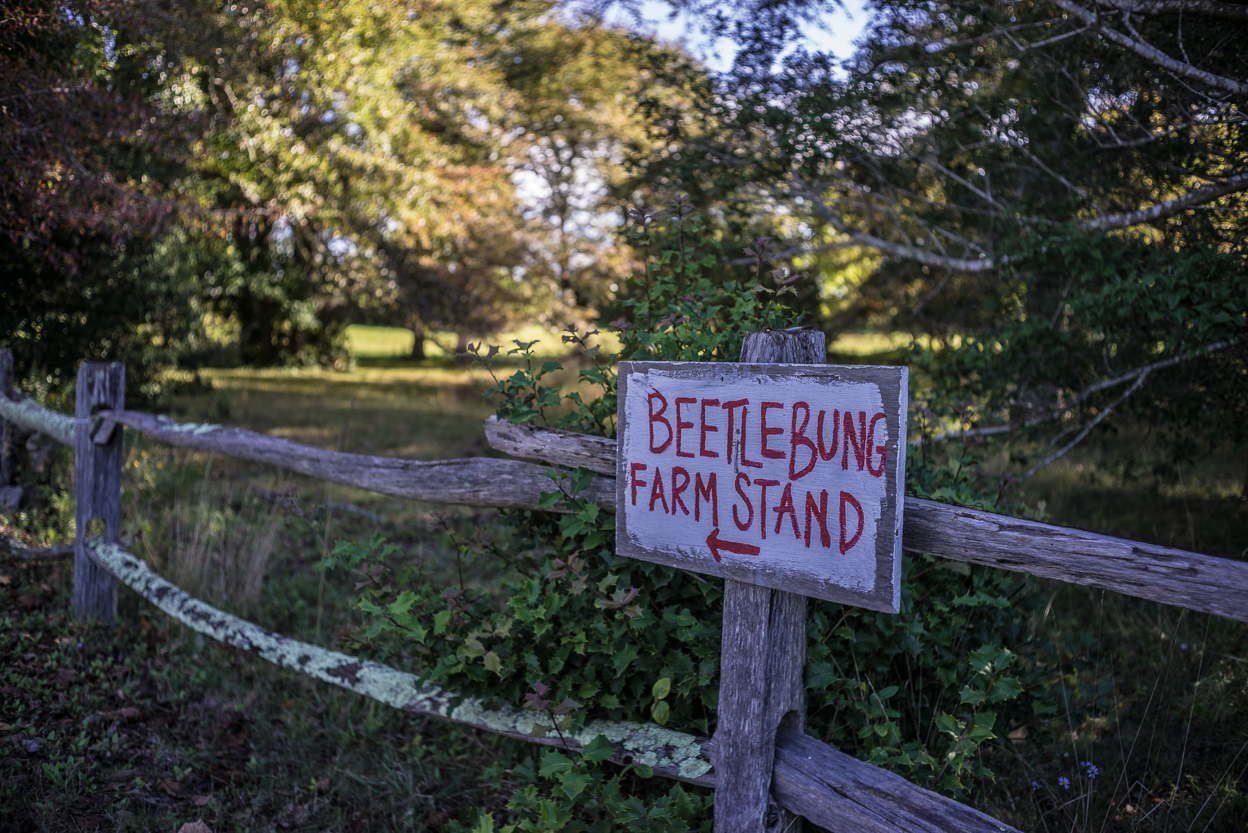 20141005-_DSC3811.jpg