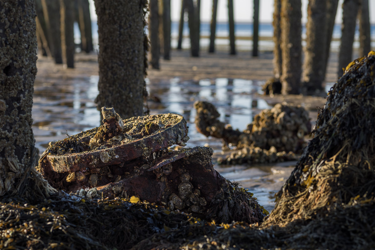 chatham low tide old wheel and pier.jpg