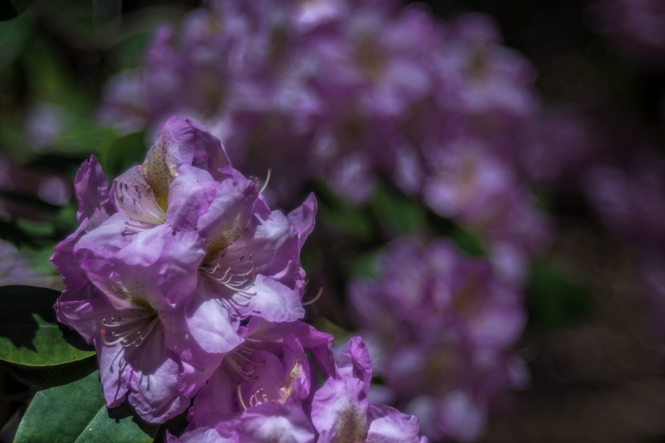 20150530-_DSC8691.jpg