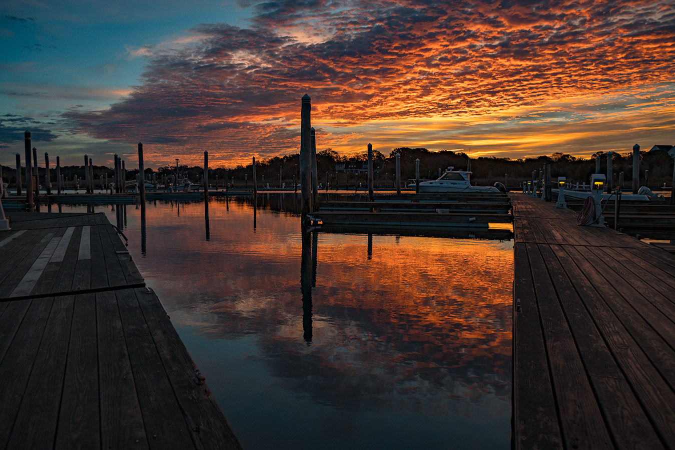 20151107-_DSC0758.jpg