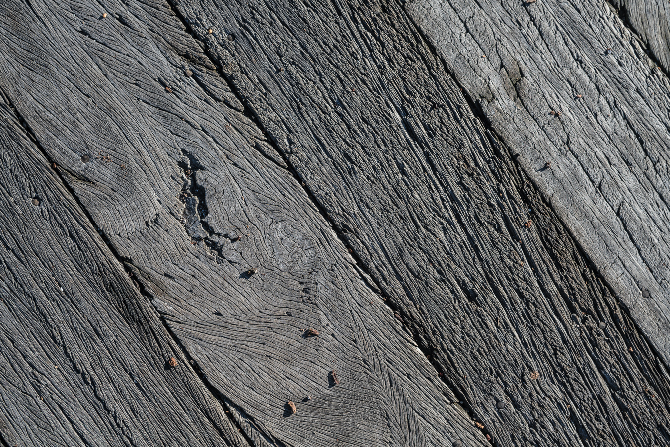 20151206-_DSC6110.jpg